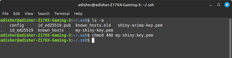 ssh-key-terminal.png